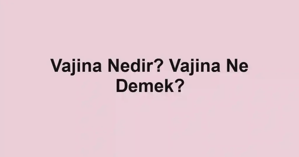 Vajina Nedir? Vajina Ne Demek?