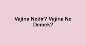 Vajina Nedir? Vajina Ne Demek?