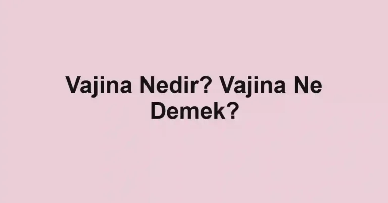 Vajina Nedir? Vajina Ne Demek?