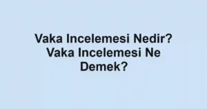 Vaka Incelemesi Nedir? Vaka Incelemesi Ne Demek?