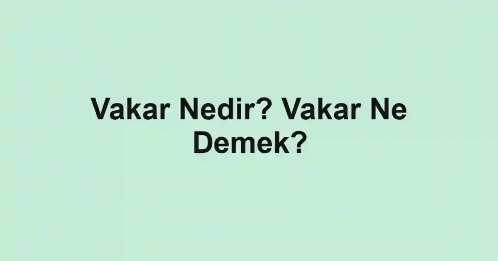 Vakar Nedir? Vakar Ne Demek?