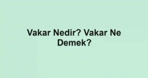 Vakar Nedir? Vakar Ne Demek?