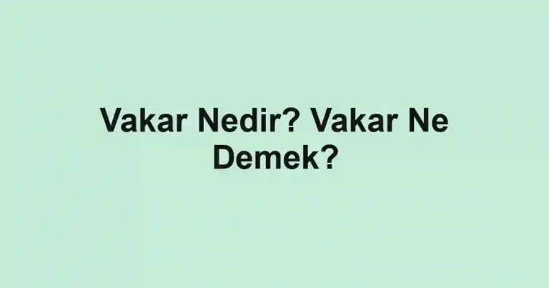 Vakar Nedir? Vakar Ne Demek?
