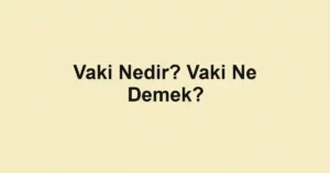 Vaki Nedir? Vaki Ne Demek?