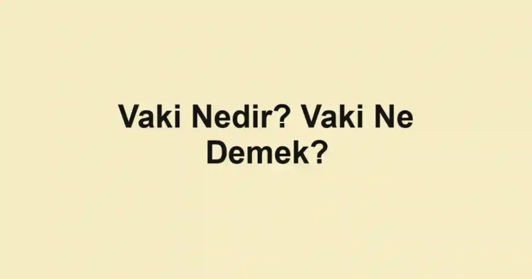Vaki Nedir? Vaki Ne Demek?