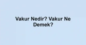 Vakur Nedir? Vakur Ne Demek?