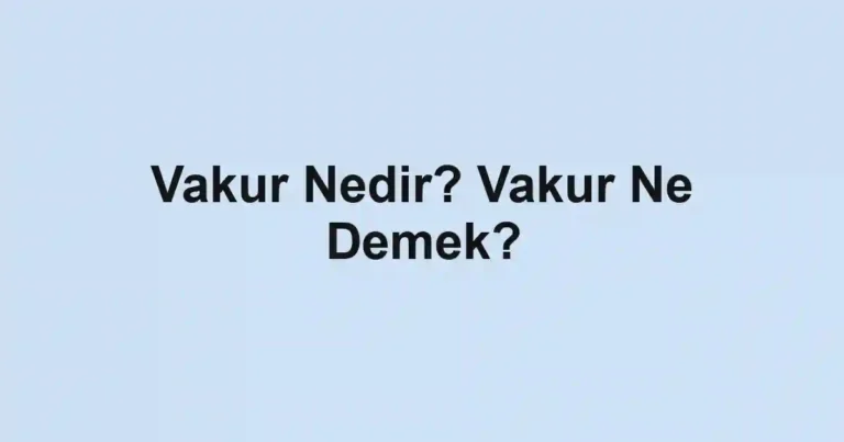 Vakur Nedir? Vakur Ne Demek?