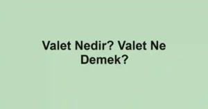 Valet Nedir? Valet Ne Demek?