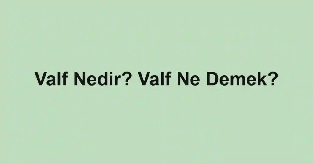 Valf Nedir? Valf Ne Demek?