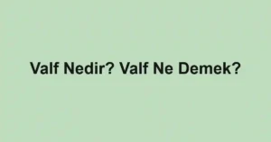 Valf Nedir? Valf Ne Demek?