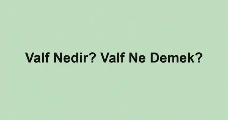 Valf Nedir? Valf Ne Demek?
