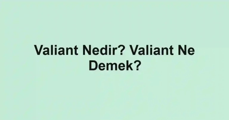 Valiant Nedir? Valiant Ne Demek?