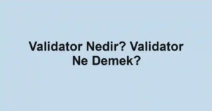 Validator Nedir? Validator Ne Demek?