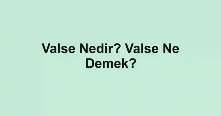 Valse Nedir? Valse Ne Demek?
