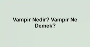 Vampir Nedir? Vampir Ne Demek?