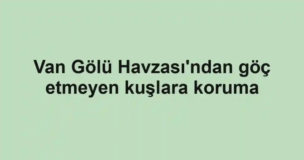 Van Gölü Havzası'ndan göç etmeyen kuşlara koruma