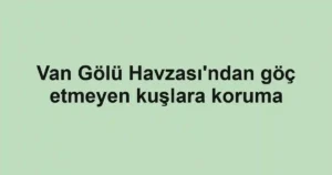 Van Gölü Havzası'ndan göç etmeyen kuşlara koruma