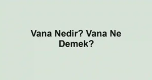 Vana Nedir? Vana Ne Demek?