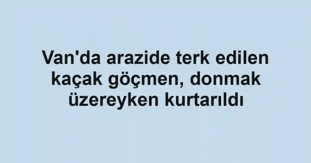 Van'da arazide terk edilen kaçak göçmen, donmak üzereyken kurtarıldı