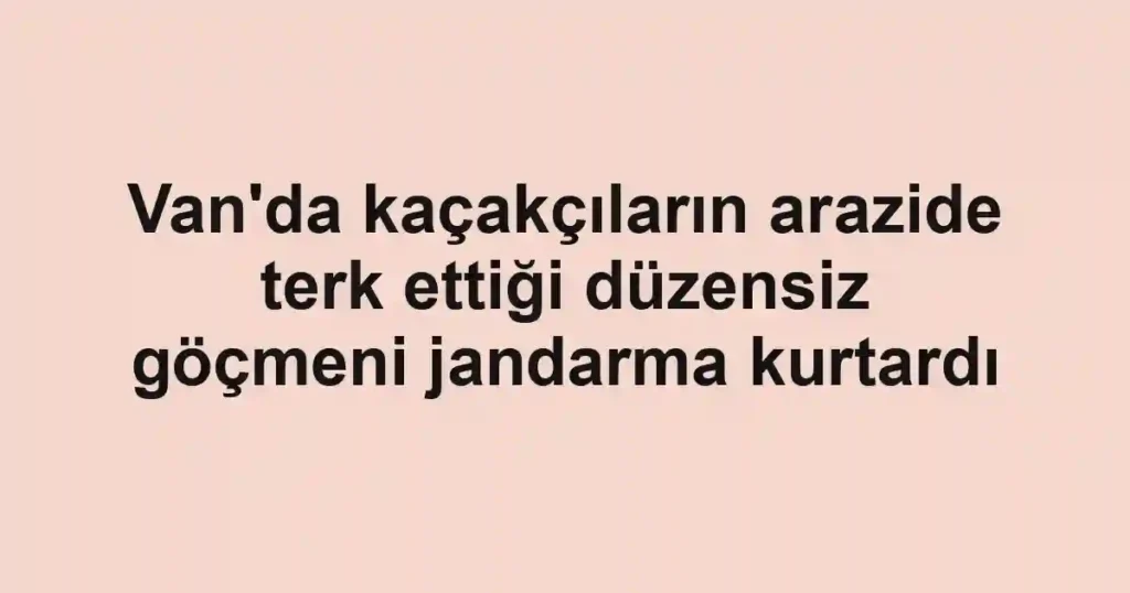 Van'da kaçakçıların arazide terk ettiği düzensiz göçmeni jandarma kurtardı