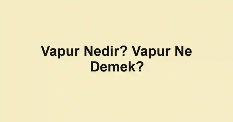 Vapur Nedir? Vapur Ne Demek?