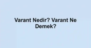 Varant Nedir? Varant Ne Demek?