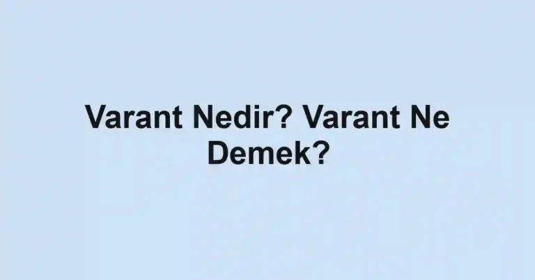 Varant Nedir? Varant Ne Demek?