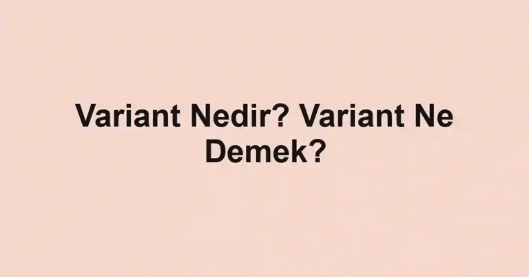Variant Nedir? Variant Ne Demek?