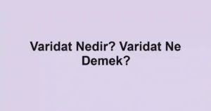 Varidat Nedir? Varidat Ne Demek?