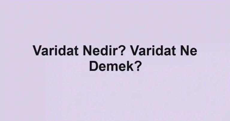 Varidat Nedir? Varidat Ne Demek?