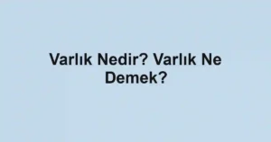 Varlık Nedir? Varlık Ne Demek?