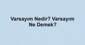 Varsayım Nedir? Varsayım Ne Demek?