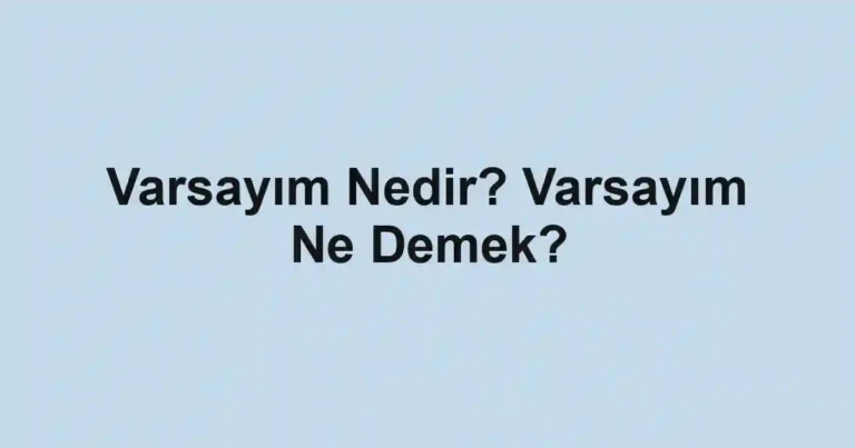 Varsayım Nedir? Varsayım Ne Demek?