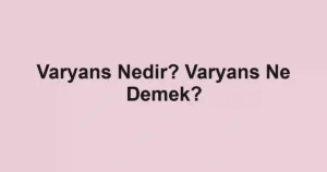 Varyans Nedir? Varyans Ne Demek?