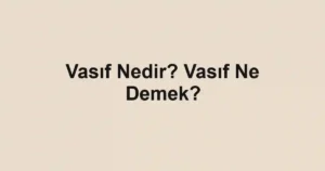 Vasıf Nedir? Vasıf Ne Demek?
