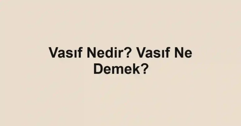 Vasıf Nedir? Vasıf Ne Demek?
