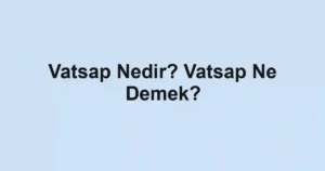 Vatsap Nedir? Vatsap Ne Demek?
