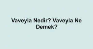Vaveyla Nedir? Vaveyla Ne Demek?