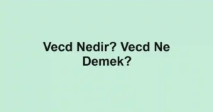 Vecd Nedir? Vecd Ne Demek?