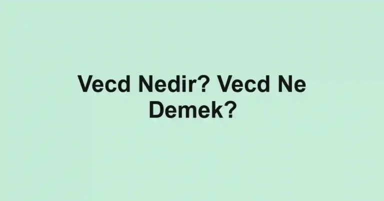 Vecd Nedir? Vecd Ne Demek?