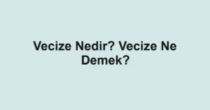 Vecize Nedir? Vecize Ne Demek?