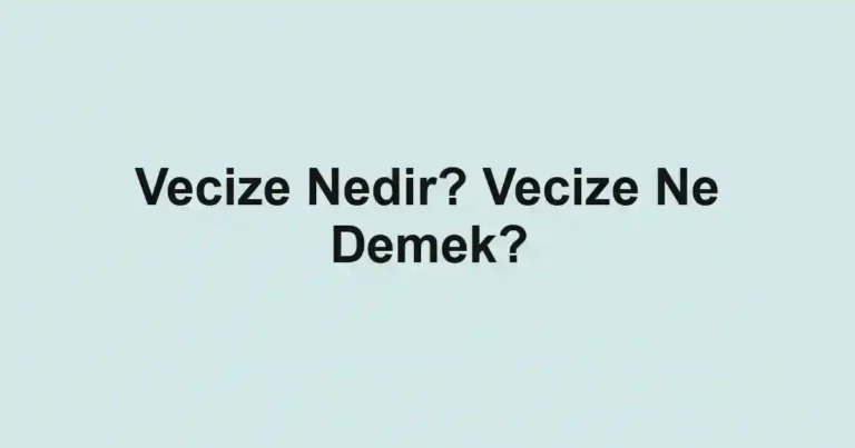 Vecize Nedir? Vecize Ne Demek?