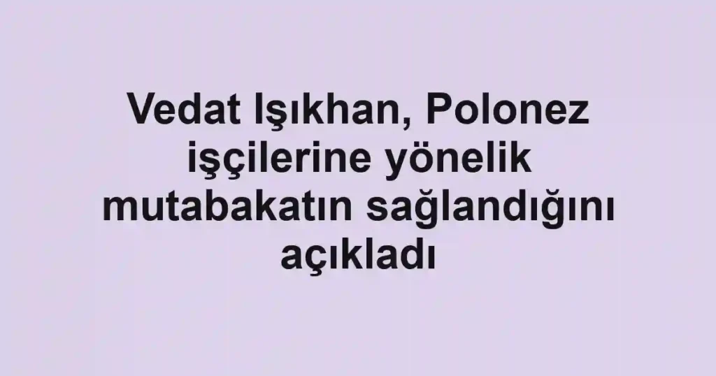 Vedat Işıkhan, Polonez işçilerine yönelik mutabakatın sağlandığını açıkladı