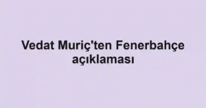 Vedat Muriç'ten Fenerbahçe açıklaması