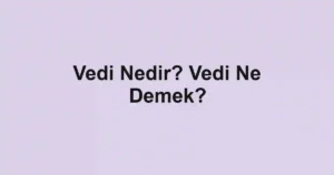 Vedi Nedir? Vedi Ne Demek?