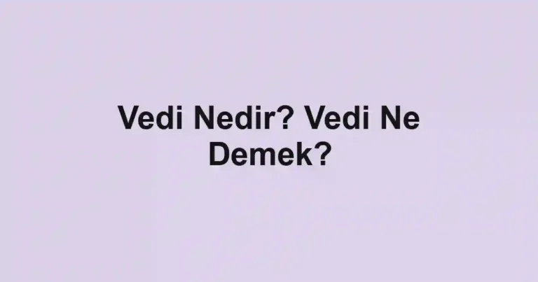 Vedi Nedir? Vedi Ne Demek?