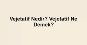 Vejetatif Nedir? Vejetatif Ne Demek?