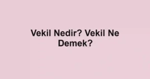 Vekil Nedir? Vekil Ne Demek?