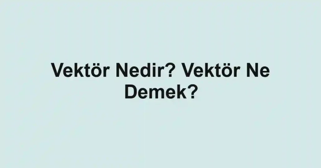 Vektör Nedir? Vektör Ne Demek?