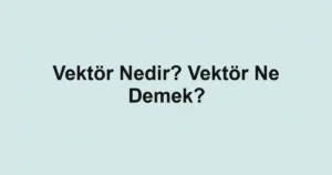 Vektör Nedir? Vektör Ne Demek?